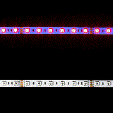 RGB-5050-60-24V-X Eluxtra RGB LED Strip Light, 24V