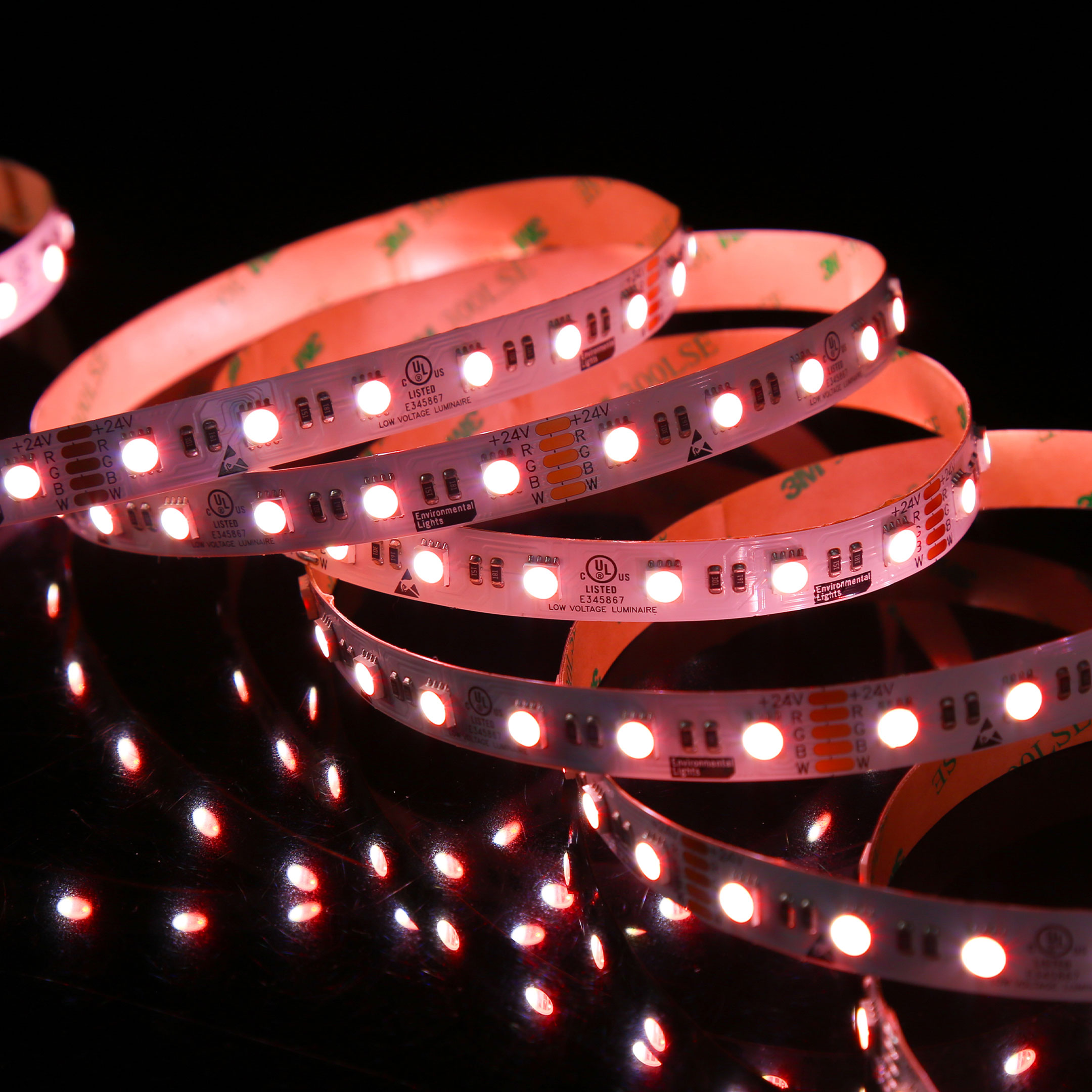 RGB65K-5050-60-24V-5m Eluxtra 4-in-1 LED Strip Light, 24V, Indoor, RGB + 6500K detail 1