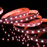 RGB65K-5050-60-24V-5m Eluxtra 4-in-1 LED Strip Light, 24V, Indoor, RGB + 6500K detail 1