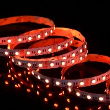 RGBA-5050-60-12V-5m Eluxtra 4-in-1 LED Strip Light, 12V, Indoor, RGB + Amber - lit beauty