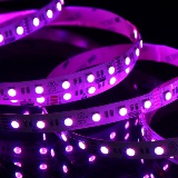 RGBI-5050-60-24V-5m Eluxtra 4-in-1 LED Strip Light, 24V, Indoor, RGB + Indigo detail 2