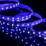 RGBI-5050-60-24V-5m Eluxtra 4-in-1 LED Strip Light, 24V, Indoor, RGB + Indigo detail 1