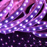 wp-RGB2465K-5050-60-24V-B-5m detail purple