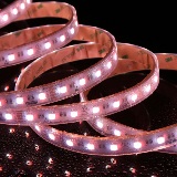 wp-RGB65K-5050-60-24V-X Eluxtra 4-in-1 LED Strip Light, 24V, Outdoor/Waterproof, RGB + 6500K White detail 2