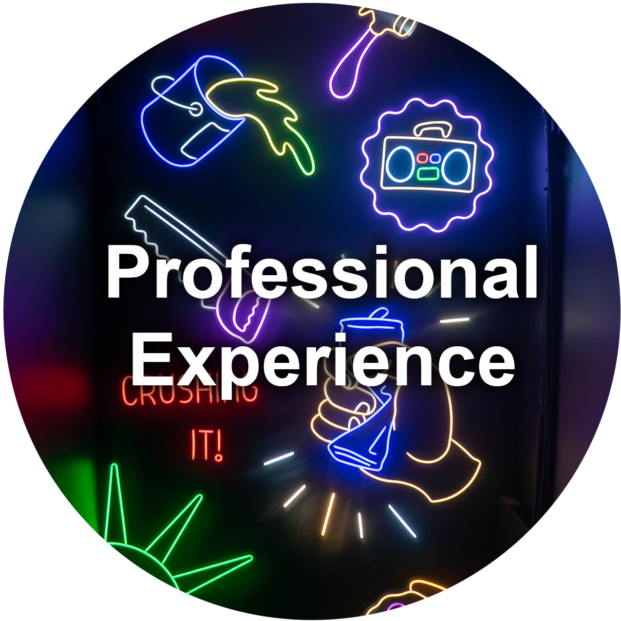 Professional Experience & Case Studies