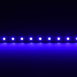 5050-12-RGB-60-5-20-1 QolorFLEX RGB LED Tape, 12V Indoor - lit blue