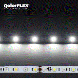 5050-24-RGBCW-60-5-20-1 QolorFLEX RGB Plus Cool White LED Tape, 24V Indoor - all colors